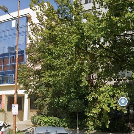 David'S Studio Timisoara Ngoại thất bức ảnh