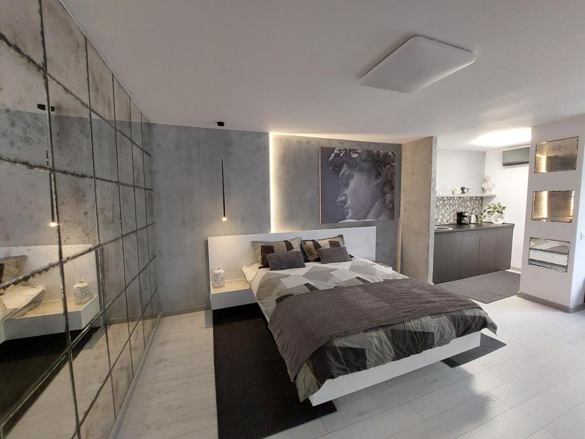 David'S Studio Timisoara Ngoại thất bức ảnh